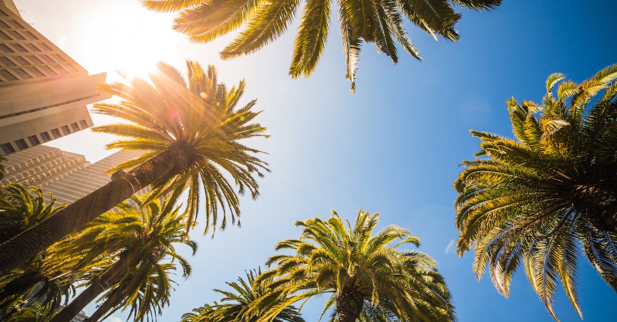 The Florida Factor: Why Traditional Recruiting Isn't Enough
